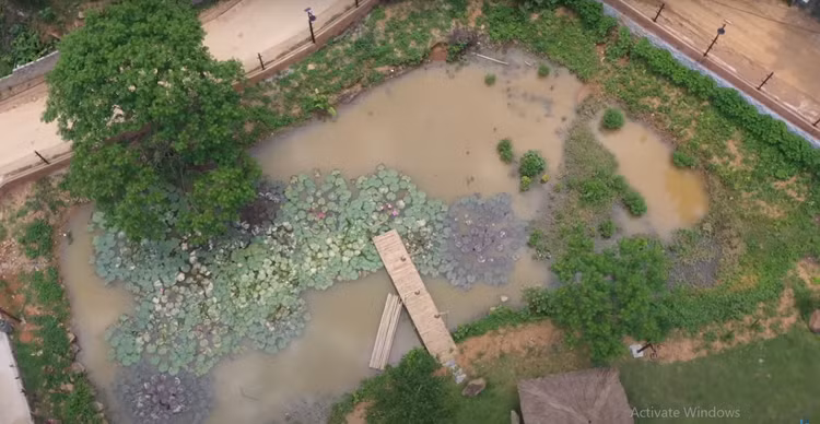 Tram tro biet thu nghi duong tren doi “di moi chan” o Ha Noi-Hinh-3