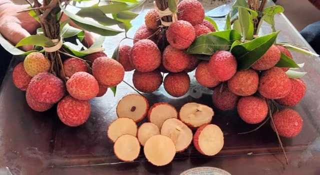 3 loai qua dac san gia cao ngat nguong van “chay hang“-Hinh-3