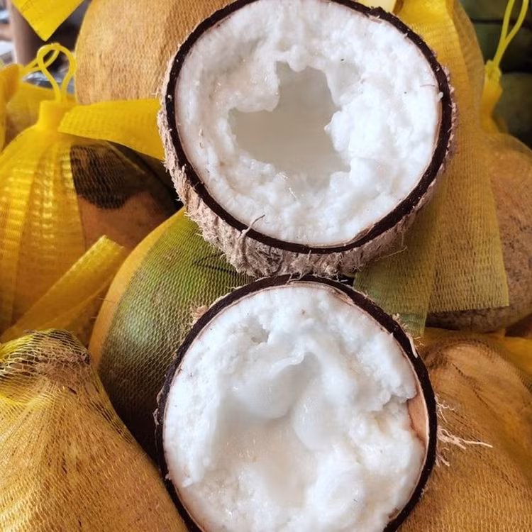 3 loai qua dac san gia cao ngat nguong van “chay hang“-Hinh-11