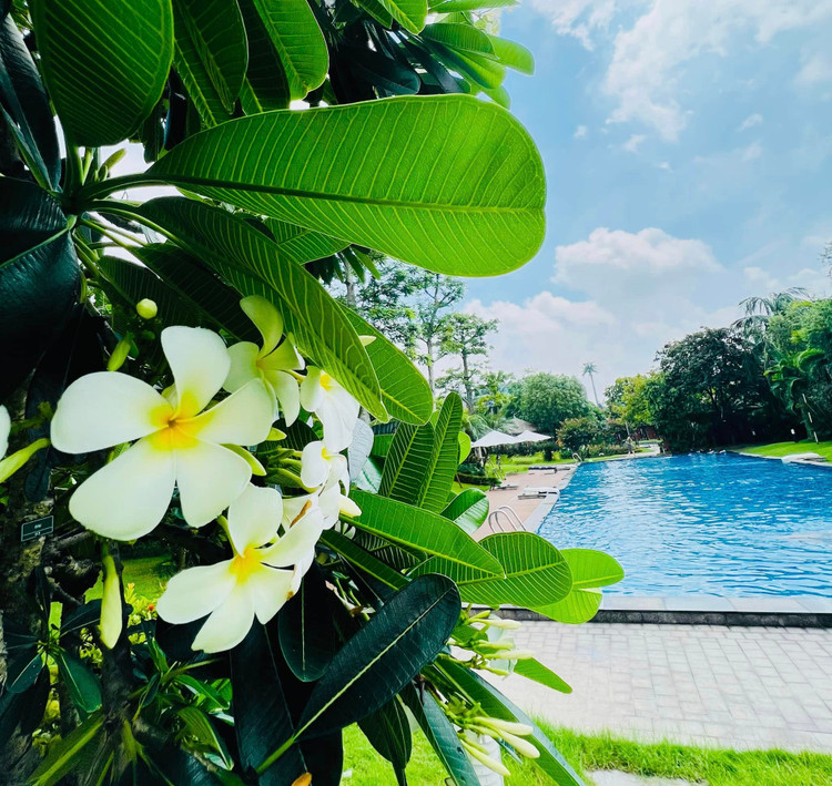 Ben trong biet thu 60 ty cua “dien vien dai gia” nuc tieng-Hinh-5