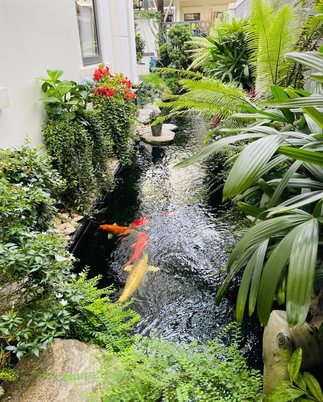 Biet thu xa hoa gan 200m2 cua Van Hugo va chong doanh nhan-Hinh-9