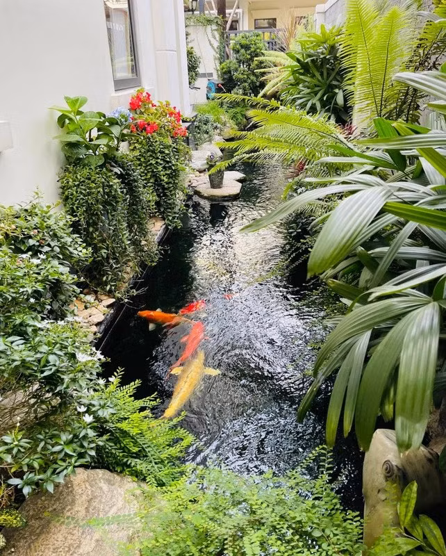 Biet thu xa hoa gan 200m2 cua Van Hugo va chong doanh nhan-Hinh-9