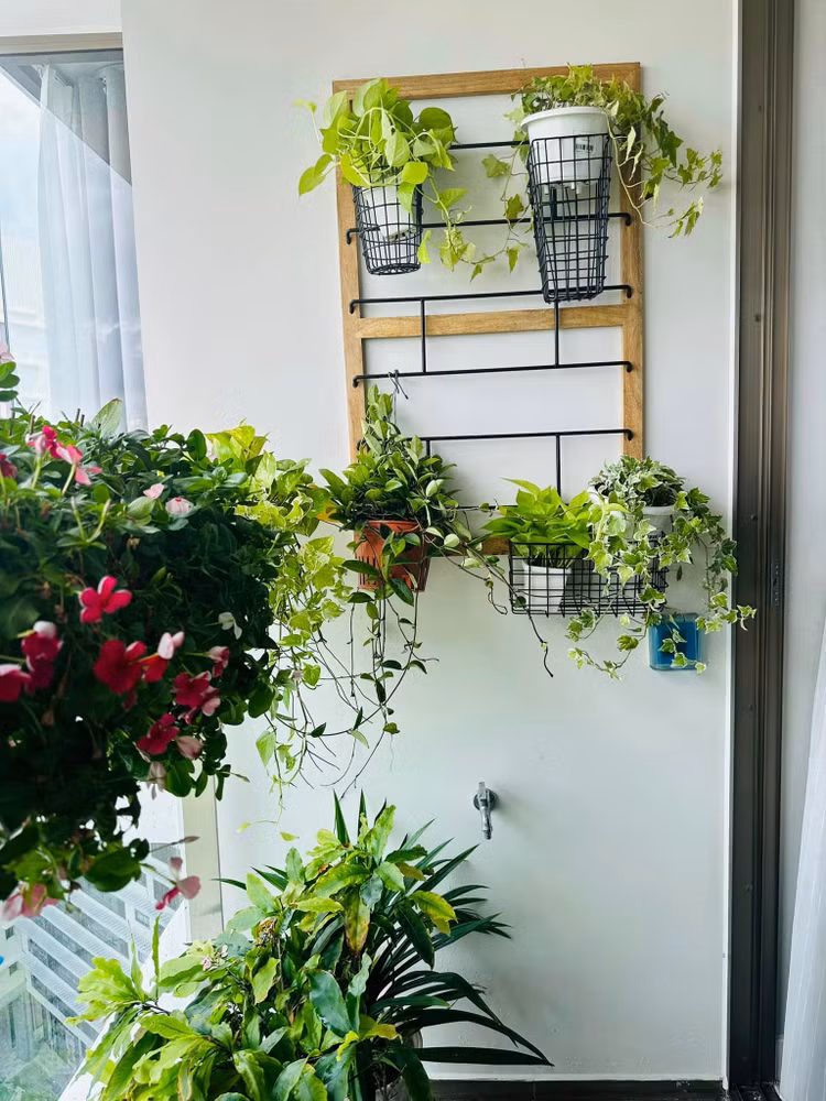 Biet thu ngap sac xanh dep den me man cua MC Dai Nghia-Hinh-5