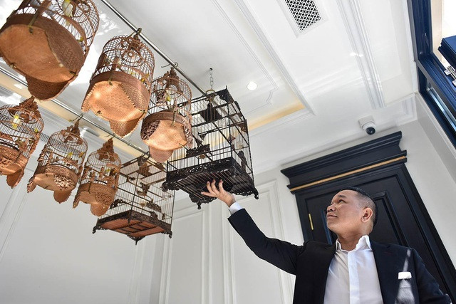 Do giau co cua dai gia ca Koi nuc tieng Viet Nam-Hinh-9