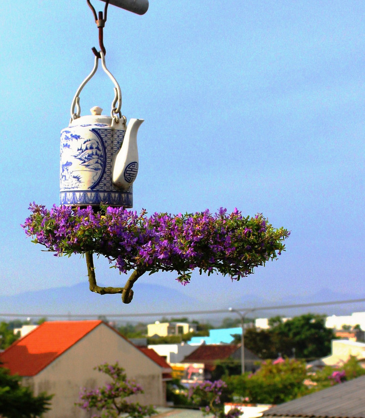 Can canh vuon bonsai moc nguoc doc nhat vo nhi o Viet Nam-Hinh-3
