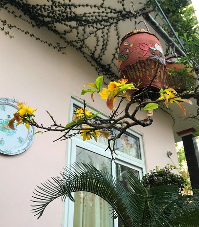 Can canh vuon bonsai moc nguoc doc nhat vo nhi o Viet Nam-Hinh-6