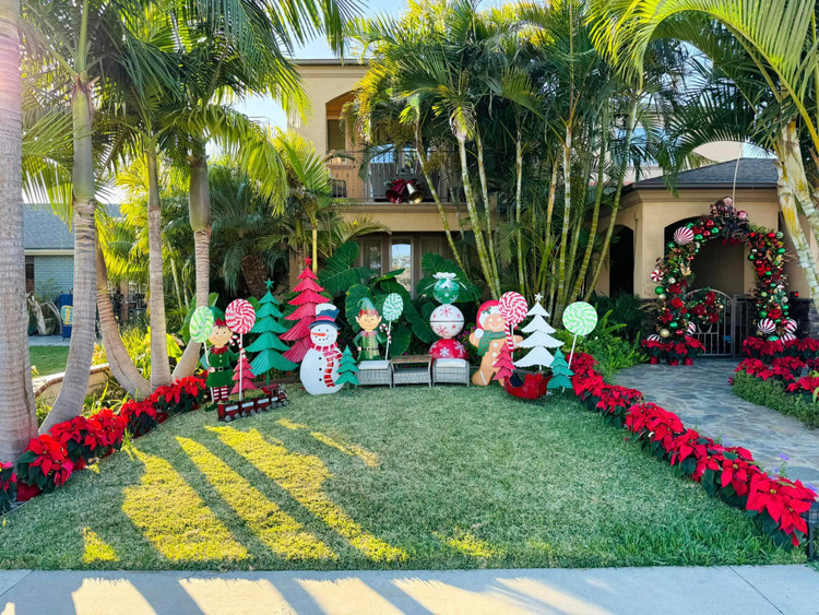 Toan canh biet thu tai My ngap sac mau Noel cua Dam Vinh Hung-Hinh-5