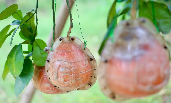 Buoi “tien vua” nua trieu dong/qua van “chay hang” truoc Tet Nguyen dan-Hinh-9