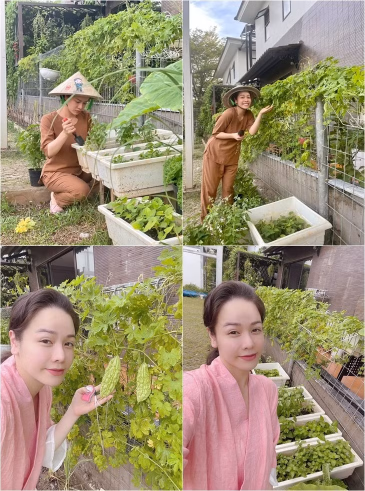 Biet thu 20 ty cua Nhat Kim Anh truoc khi mang thai lan hai-Hinh-11