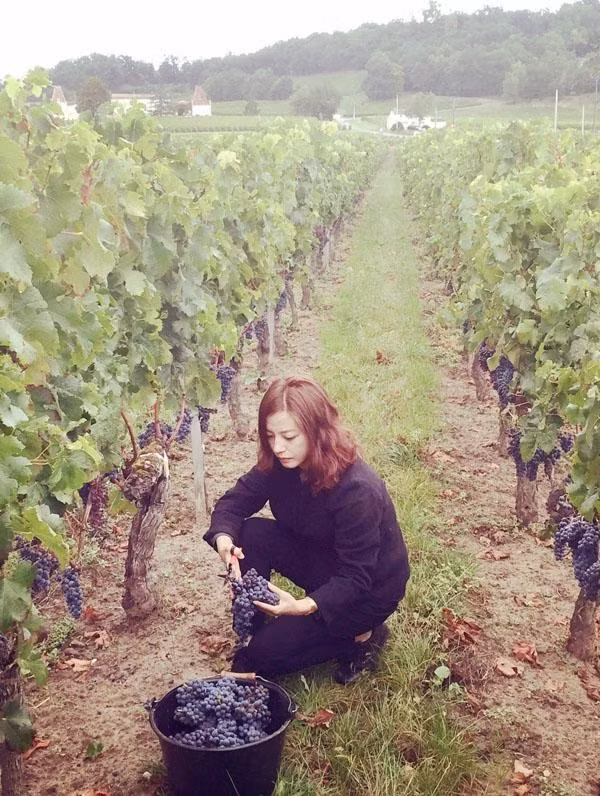 Trang trai nho dat gia cua Trieu Vy truoc khi ly hon-Hinh-9