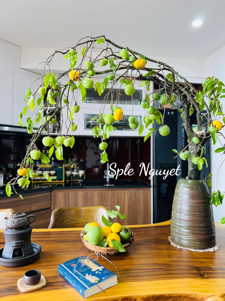 Nhung canh qua cam binh gay sot thi truong Viet 2024-Hinh-5