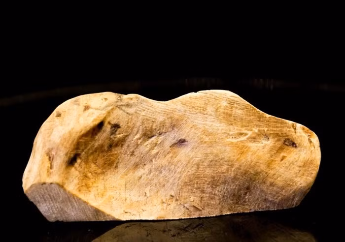 Loai go 50 ty/kg, dai gia doc hau bao khong mua noi-Hinh-7