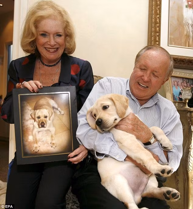 Top 10 loai thu cung dat nhat hanh tinh-Hinh-4