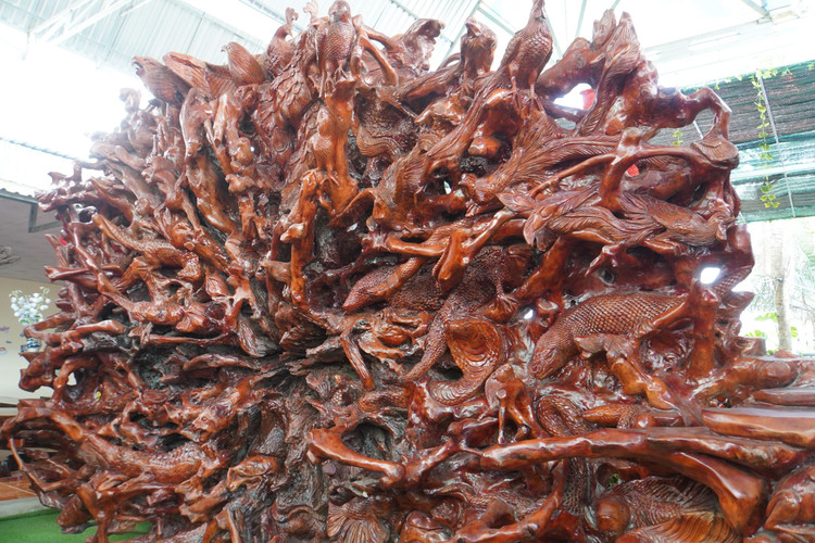 Goc cay 300 tuoi dieu khac duoc tra 16 ty, chu “kieu” khong ban-Hinh-4