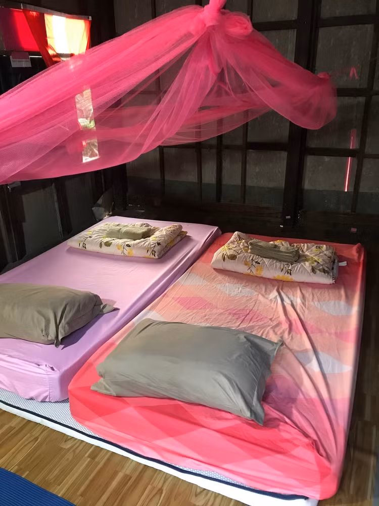 Tan thay “biet thu khu o chuot” gia 14.000 nghin dong gay sot-Hinh-6