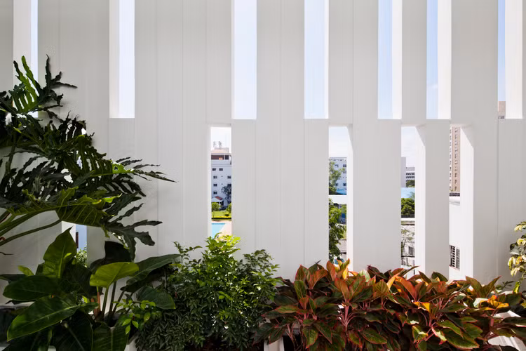 Nha pho Sai Gon “gay sot” voi mat tien khe rong doc dao-Hinh-5