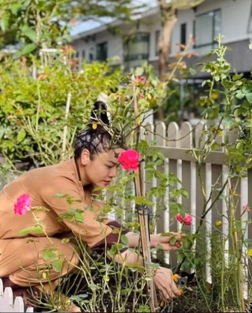 Vuon cay trai sum sue trong biet thu 20 ty cua Nhat Kim Anh-Hinh-8