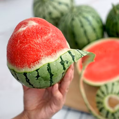 Dua hau mini 200.000 dong/kg hut khach co gi dac biet?-Hinh-4