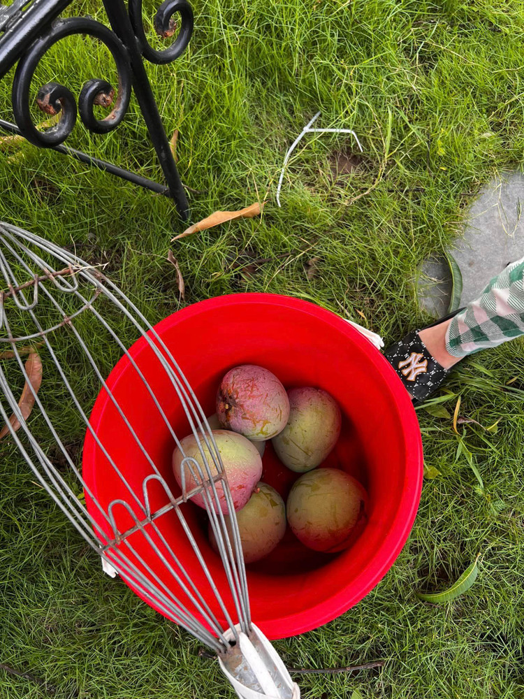 Man nhan vuon cay triu qua trong “biet phu” cua Xuan Bac-Hinh-2