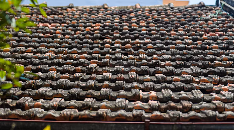 Ben trong can nha ven song Hong don Bac Ho ve tu chien khu Viet Bac-Hinh-12