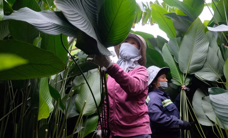 Bat ngo nhung nghe “hot bac” kho tin o Ha Noi-Hinh-7