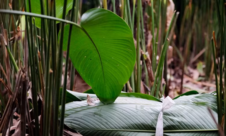 Bat ngo nhung nghe “hot bac” kho tin o Ha Noi-Hinh-11