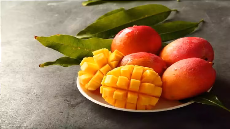 Xoai “mat troi trong tuyet” hon 5 trieu/qua duoc trong the nao?-Hinh-5