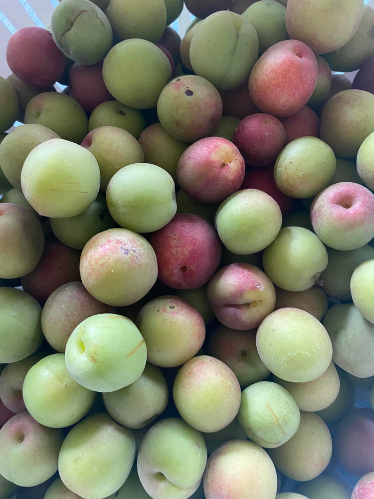 Me man vuon cay triu qua trong nha NSND Thanh Hoa-Hinh-7