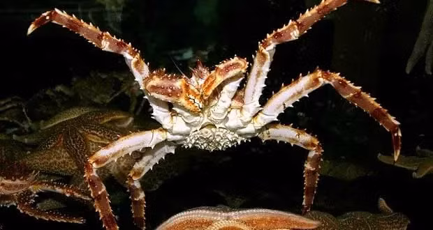 Su that ngac nhien ve cua hoang de 20 trieu dong/bua an-Hinh-3