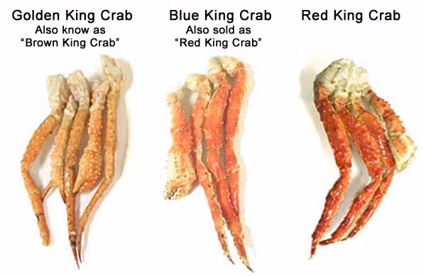Su that ngac nhien ve cua hoang de 20 trieu dong/bua an-Hinh-7