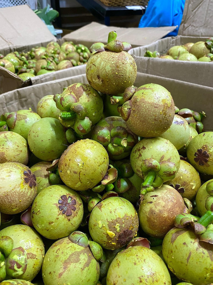 Mang cut xanh nua trieu dong/kg dang gay sot co gi dac biet?-Hinh-8