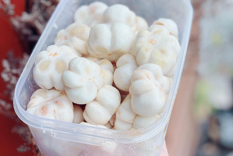 Mang cut xanh nua trieu dong/kg dang gay sot co gi dac biet?-Hinh-5