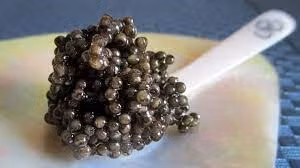 Bat mi thu vi ve mon an “hoang gia” moi bua ton ca cay vang-Hinh-7