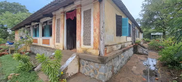 Kham pha nha co Tram Cot doc nhat vo nhi o Long An-Hinh-12