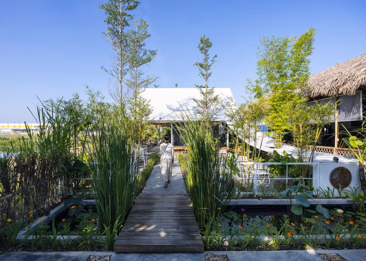 Bao My nuc no khen quan ca phe dep “nghieng nga” o thanh Vinh-Hinh-11