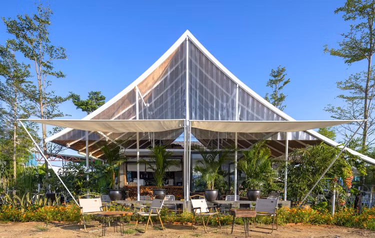 Bao My nuc no khen quan ca phe dep “nghieng nga” o thanh Vinh-Hinh-6