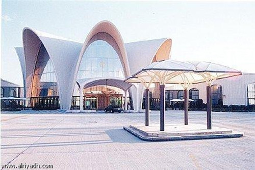 Co gi trong san bay lon nhat hanh tinh?-Hinh-7