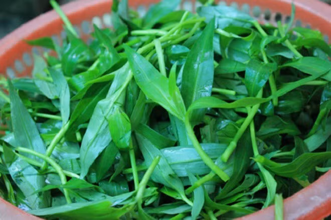 3 loai rau dai cho lon an thanh dac san “dat nhu tom tuoi“-Hinh-7