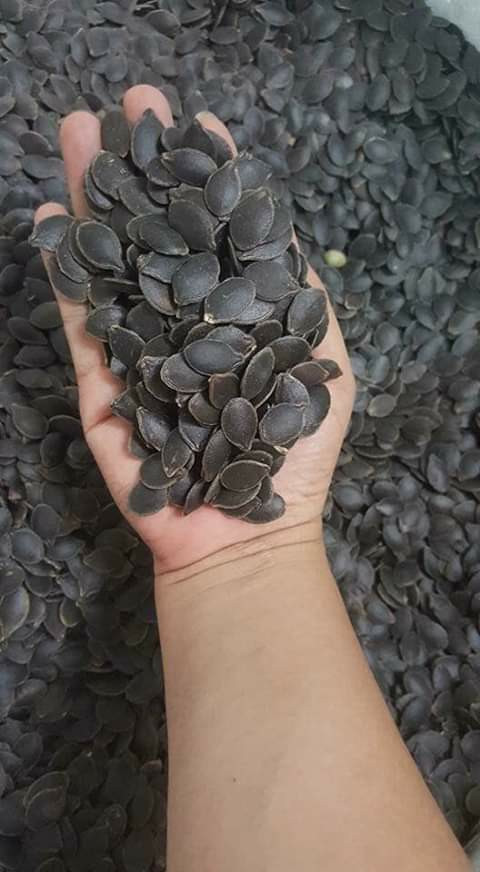 4 loai qua xua leo hang rao thanh dac san “chay hang“-Hinh-3