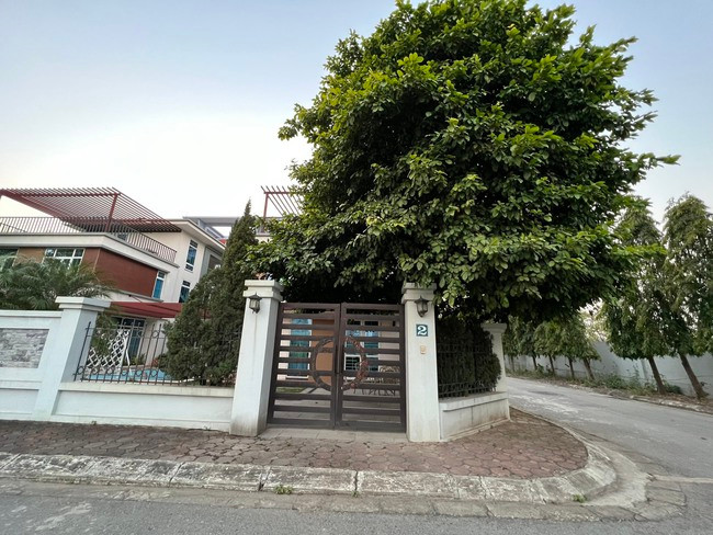 Can nha HLV Park Hang-seo gan bo 5 nam o VN co gi?-Hinh-2