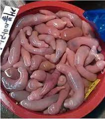 3 dac san tien trieu khien khach do mat vi hinh dang nhay cam-Hinh-4