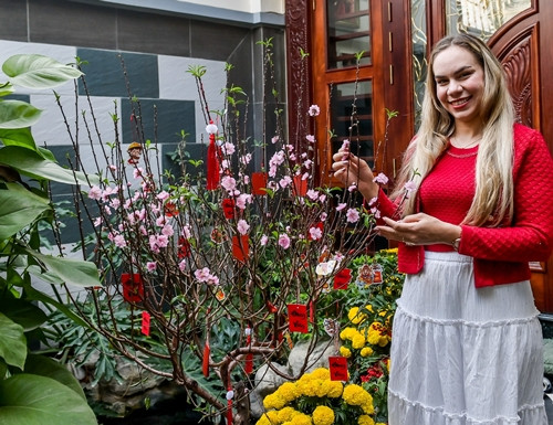 Ngoi nha ngap sac hoa don Tet cua tien dao Xuan Son-Hinh-3