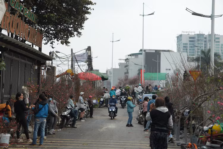 Cho hoa lon nhat Ha Noi nhon nhip ngay giap Tet-Hinh-2