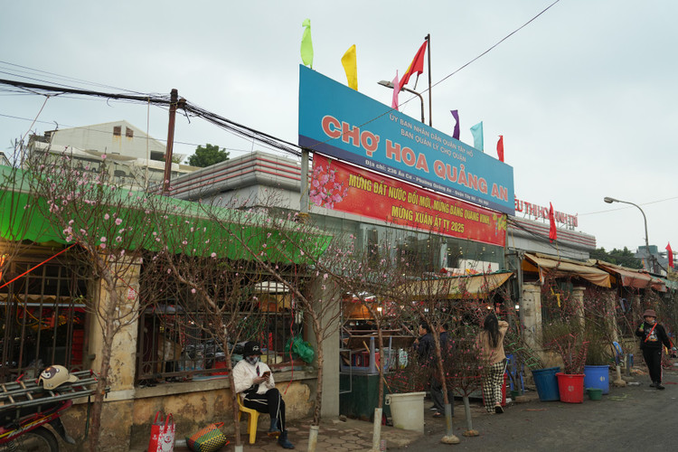 Cho hoa lon nhat Ha Noi nhon nhip ngay giap Tet