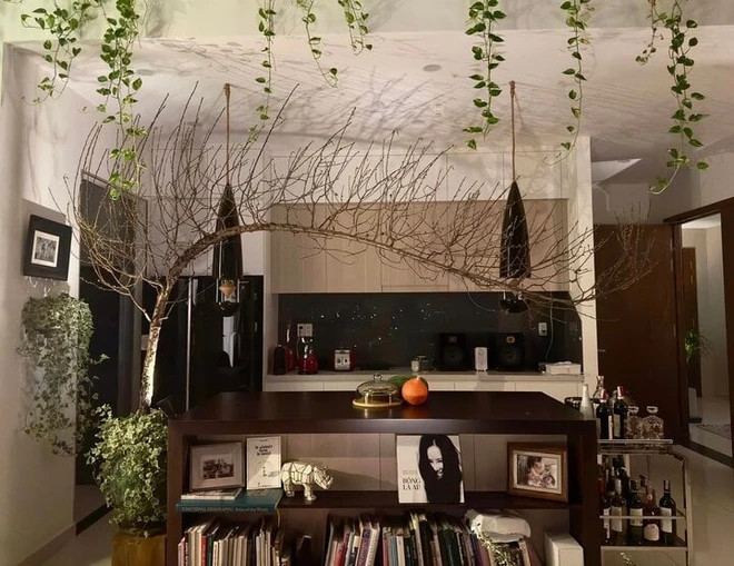 Can canh penthouse ven song Sai Gon cua diva Hong Nhung-Hinh-5