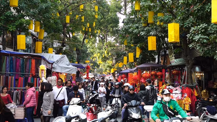 Nhon nhip nhung cho hoa noi tieng Ha thanh-Hinh-3