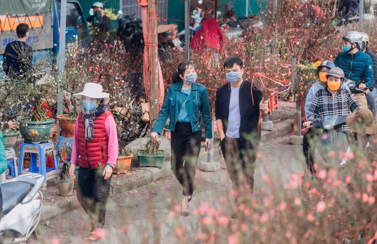 Nhon nhip nhung cho hoa noi tieng Ha thanh-Hinh-2