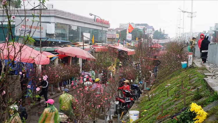 Nhon nhip nhung cho hoa noi tieng Ha thanh