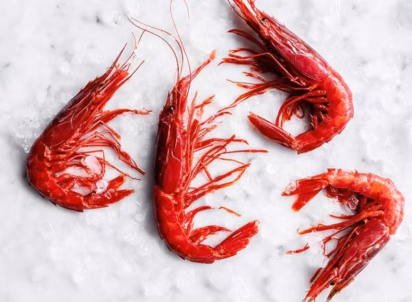 Tom quy do gan 5 trieu dong/kg gay sot thi truong Tet-Hinh-8