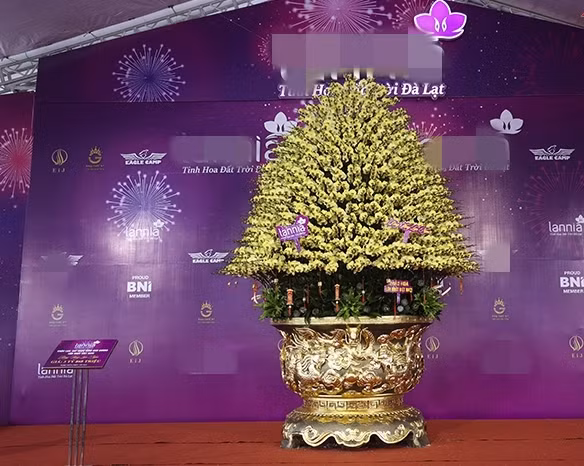 Tan muc chau lan dat vang gan 4 ty gay sot thi truong